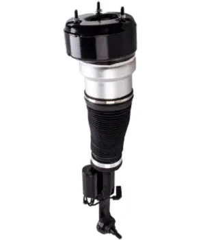 Air Suspension Strut (125AS2548R)