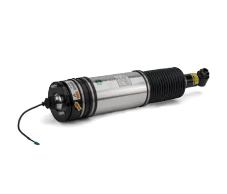 Air Suspension Strut (1160AS2978)