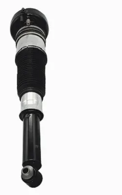 Air Suspension Strut (125AS8002R)