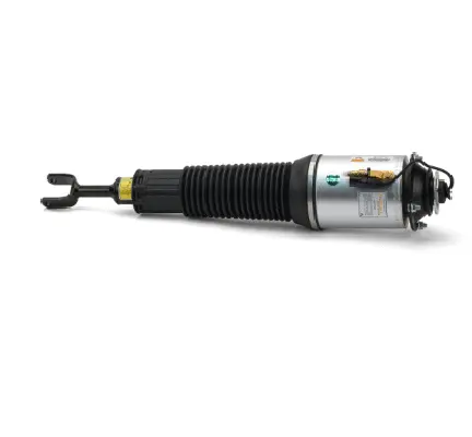Air Suspension Strut (1160AS2775)