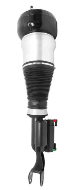 Air Suspension Strut (125AS8681N)