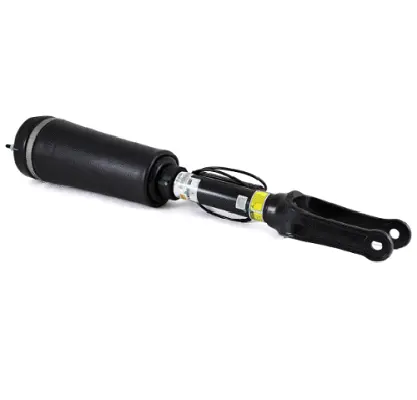 Air Suspension Strut (1160AS2394)