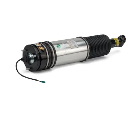 Air Suspension Strut (1160AS2979)