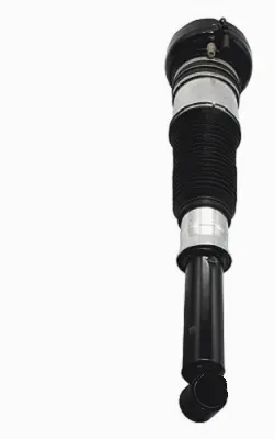 Air Suspension Strut (125AS8003R)