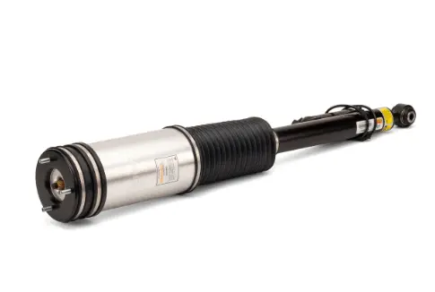 Air Suspension Strut (1160AS2884)