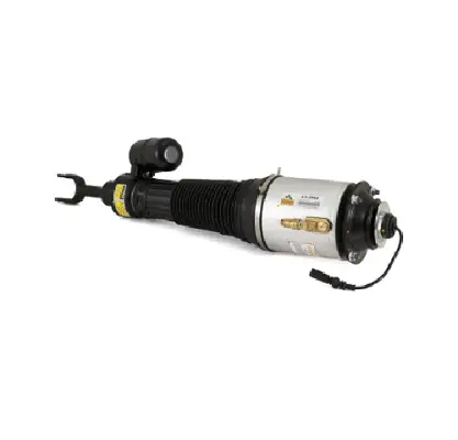 Air Suspension Strut (1160AS2580)