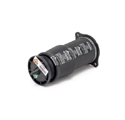 Air Spring, suspension (11600A2801)
