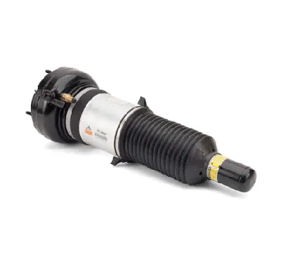 Air Suspension Strut (1160AS2864)