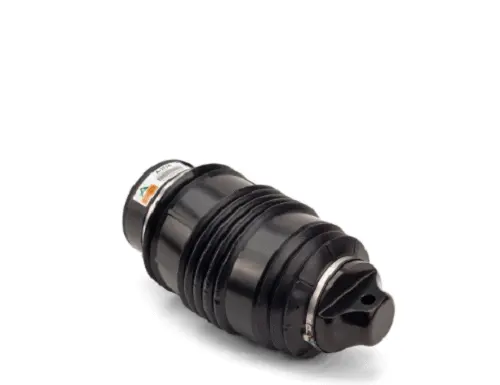 Air Spring, suspension (11600A2724)