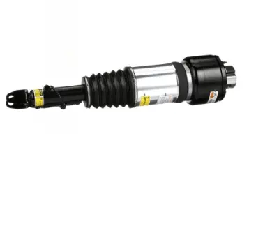 Air Suspension Strut (1160AS2787)