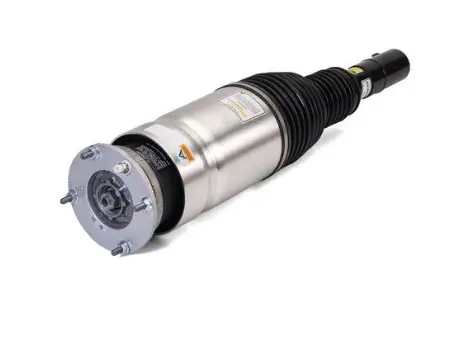 Air Suspension Strut (1160AS3070)