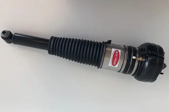 Air Suspension Strut (176AS8002V)