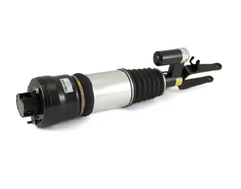 Air Suspension Strut (1160AS2294)