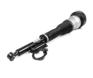 Air Suspension Strut (125AS2604R)