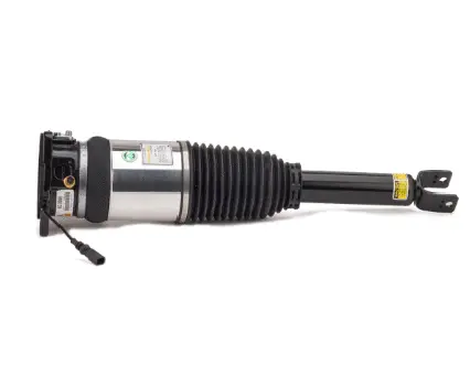 Air Suspension Strut (1160AS2968)