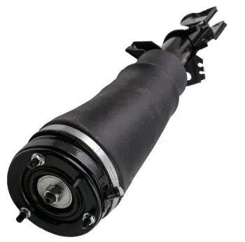 Air Suspension Strut (125AS2962R)