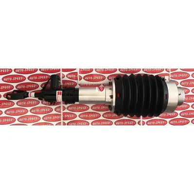 Air Suspension Strut (187AS2743R)