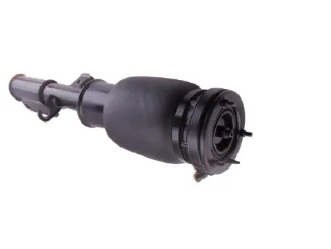 Air Suspension Strut (1250AS2305)