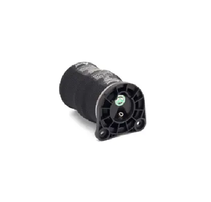 Air Spring, suspension (11600A2799)