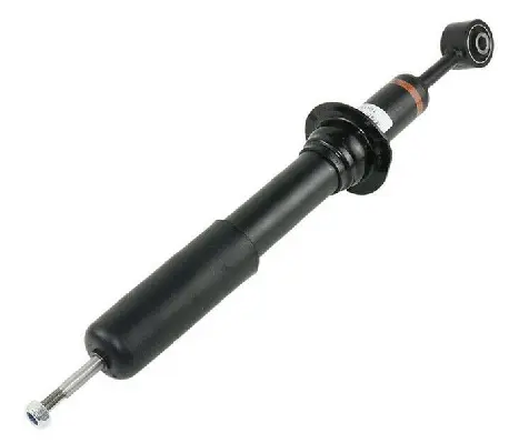 Air Suspension Strut (1250SK2812)