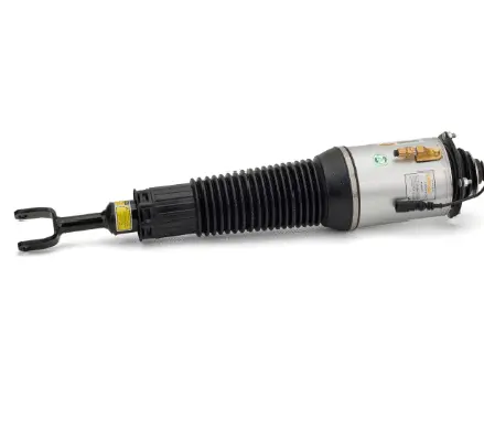 Air Suspension Strut (1160AS2776)