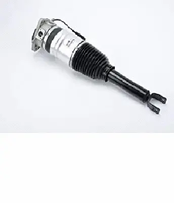 Air Suspension Strut (125AS2958R)