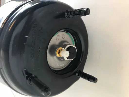 Air Suspension Strut (176AS3060V)