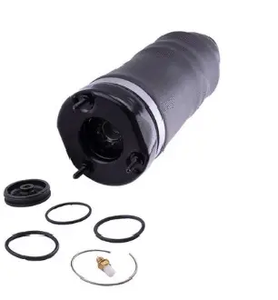 Air Spring, suspension (12500A2587)