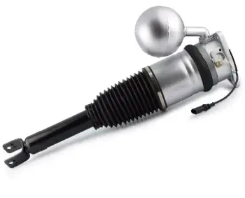 Air Suspension Strut (125AS8101R)