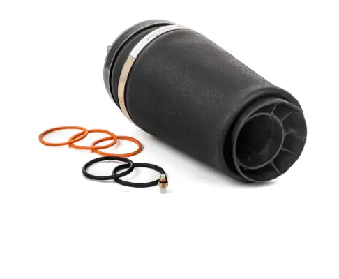 Air Spring, suspension (12500A2934)