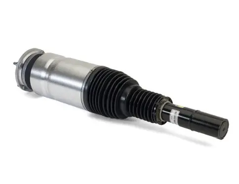 Air Suspension Strut (125AS3067N)