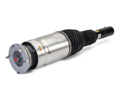 Air Suspension Strut (1160AS3068)