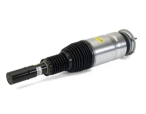 Air Suspension Strut (125AS3205N)