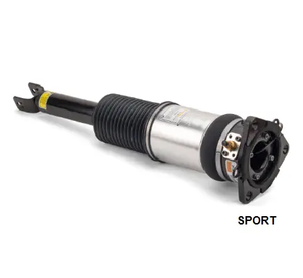Air Suspension Strut (1160AS2965)