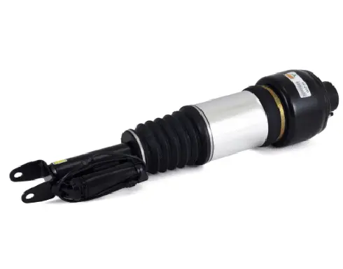 Air Suspension Strut (1160AS2245)