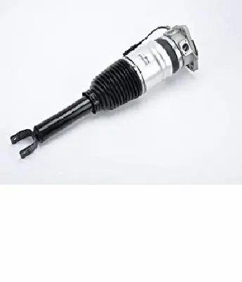 Air Suspension Strut (125AS2959R)
