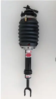 Air Suspension Strut (187AS2561R)