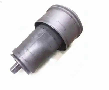 Air Spring, suspension (12505102GP)