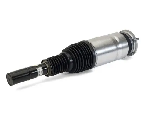 Air Suspension Strut (125AS3068R)