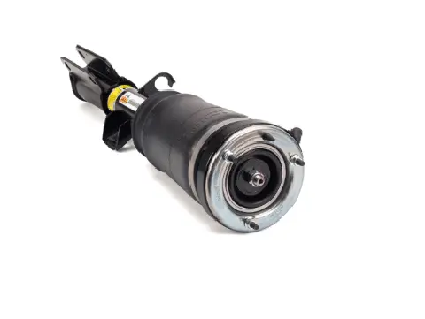 Air Suspension Strut (1160AS2764)