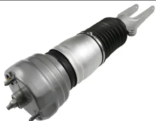 Air Suspension Strut (125AS8200R)