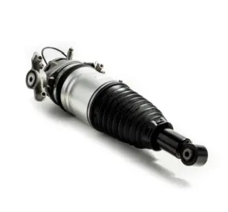 Air Suspension Strut (1250AS8303)