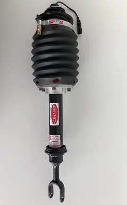 Air Suspension Strut (187AS2580R)