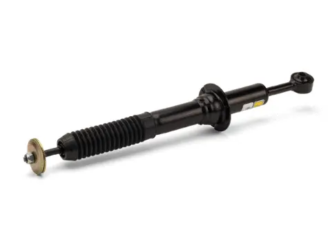 Air Suspension Strut (1160SK2812)