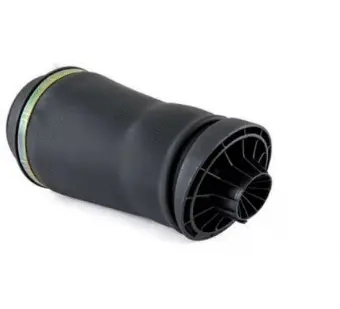 Air Spring, suspension (12500A2597)