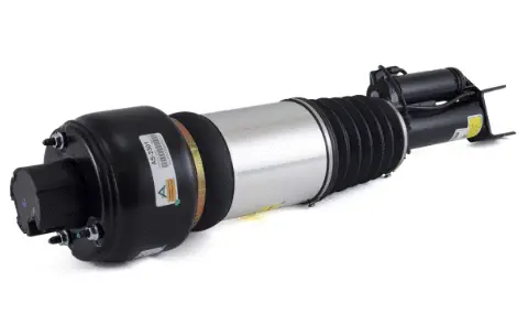 Air Suspension Strut (1160AS2301)