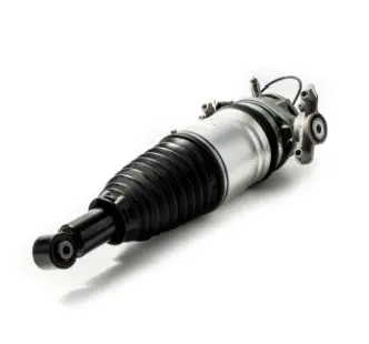Air Suspension Strut (1250AS8302)