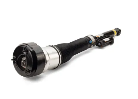 Air Suspension Strut (1160AS2603)