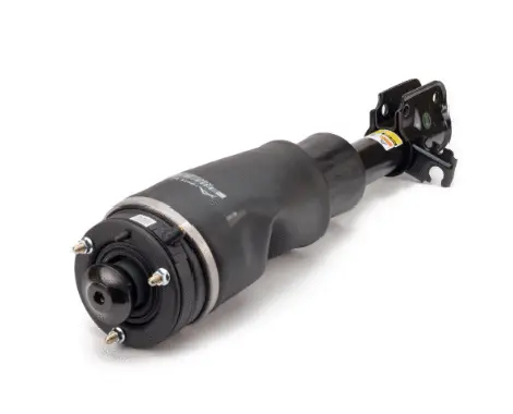 Air Suspension Strut (1160AS2795)