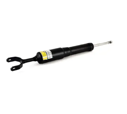 Air Suspension Strut (1160SK2779)